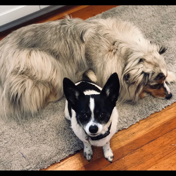 Meet your Posher, Natalie - Picture 9 of 16